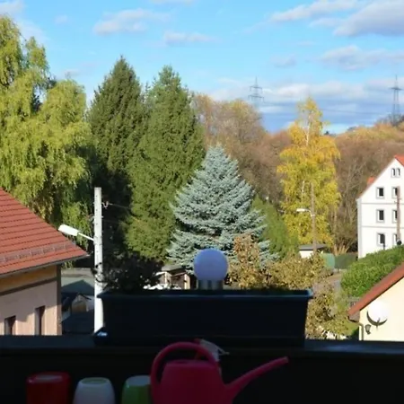 Kunstsammler *